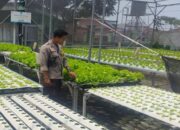 Polsek Labuapi Dorong Warga Optimalkan Lahan Sisa Jadi Zona Hijau