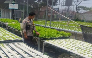 Polsek Labuapi Dorong Warga Optimalkan Lahan Sisa Jadi Zona Hijau