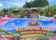 Wakapolres Lombok Barat Turun Langsung Dampingi Petani Jagung di Desa Kedaro