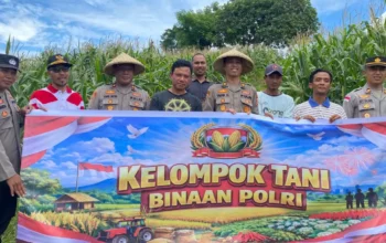 Wakapolres Lombok Barat Turun Langsung Dampingi Petani Jagung di Desa Kedaro