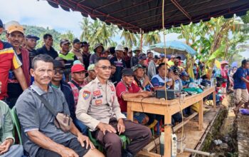 Pengamanan Kegiatan Karapan Kerbau Desa Bangkat Munteh Berjalan Aman dan Kondusif