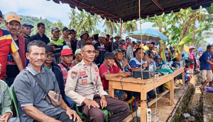 Pengamanan Kegiatan Karapan Kerbau Desa Bangkat Munteh Berjalan Aman dan Kondusif