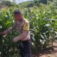 Dukungan ketahanan pangan, Polsek Praya Timur Lakukan Pengecekan Lahan Jagung di Desa Kidang