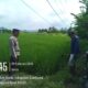Dukung Kemandirian Pangan, Bhabinkamtibmas Desa Langam Edukasi Petani Manfaatkan Lahan Kosong