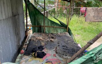 Tolak Disuruh Cari Rumput, Seorang Pemuda di Plampang Diduga Dibakar Ibu Kandungnya Sendiri