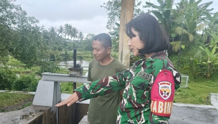 Tiga Hari Diguyur Hujan, Babinsa Pantau Pintu Air