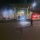 Polsek Seteluk Perketat Pengamanan Malam Tarawih, Wujudkan Ramadhan Aman dan Khusyuk