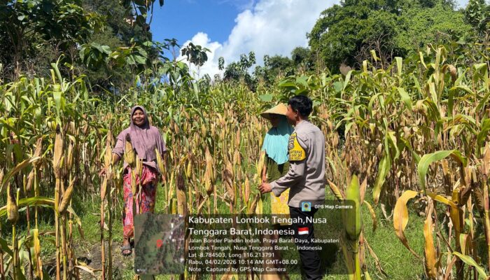 Bhabinkamtibmas Pandan Indah Sambangi Warga, Cek Tanaman Jagung dan Sampaikan Info HET