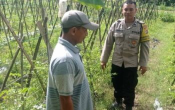 Polri Kawal Swasembada Pangan di Lombok Barat melalui Aksi Nyata