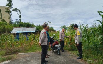 Kapolsek Sakra Kunjungi Petani Jagung, Ajak Warga Tingkatkan Ketahanan Pangan