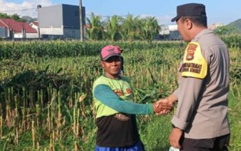 Bhabinkamtibmas Labuapi Kawal Optimalisasi Lahan Jagung di Lombok Barat