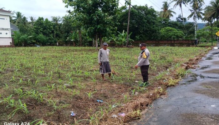 Polsek Gerung Kawal Ketahanan Pangan di Giri Tembesi