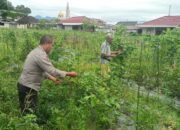 Bhabinkamtibmas Desa Masbagik Utara Laksanakan Silaturahmi dan Kontrol Petani Dukung Ketahanan Pangan