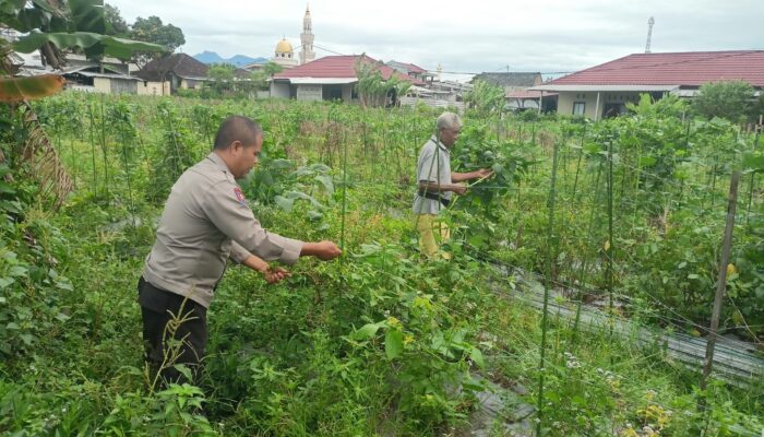 Bhabinkamtibmas Desa Masbagik Utara Laksanakan Silaturahmi dan Kontrol Petani Dukung Ketahanan Pangan