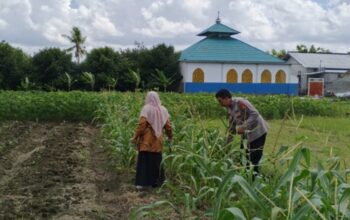 Sinergi Polsek Labuapi Dukung Swasembada Pangan di Desa