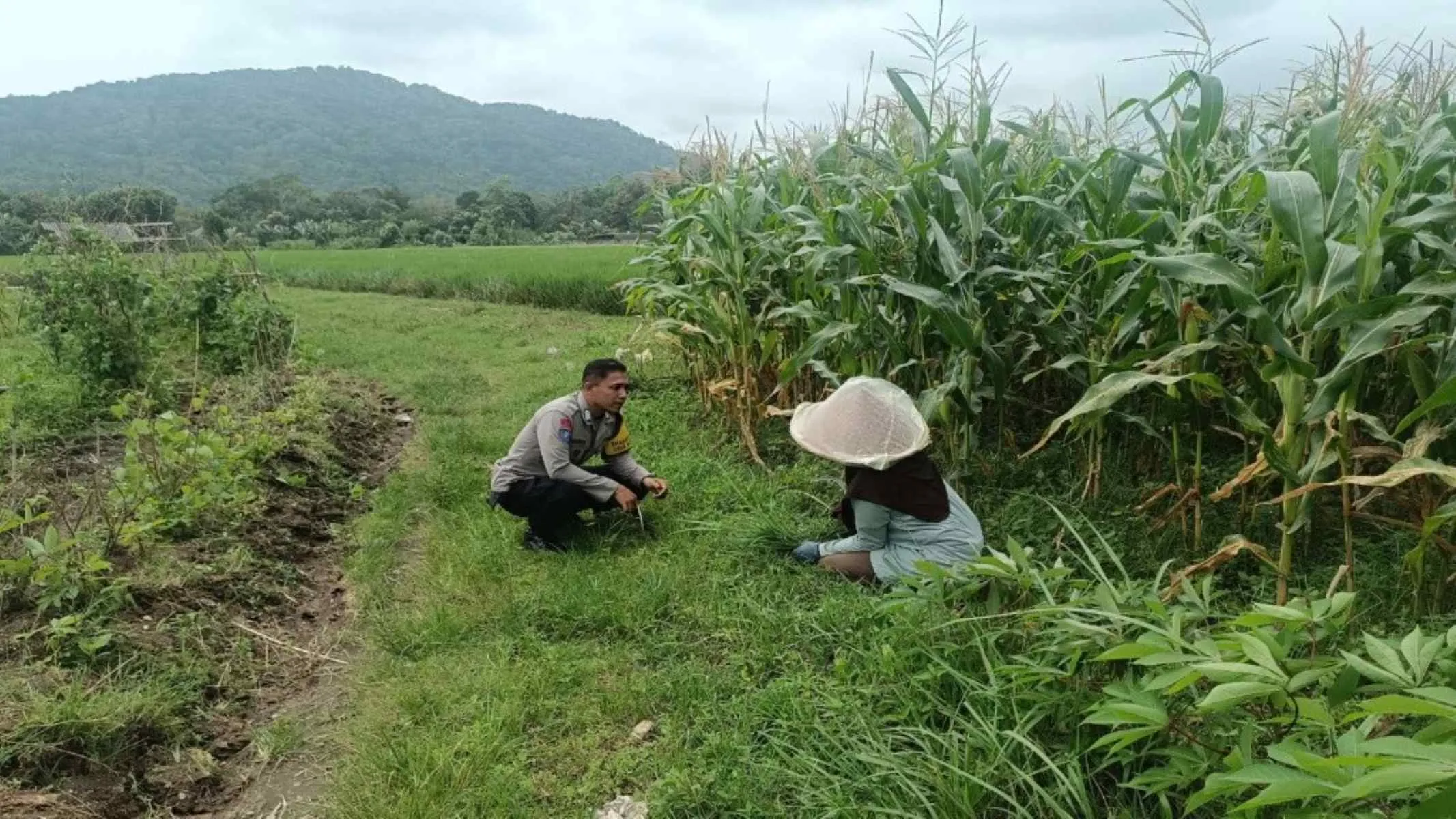 Polres Lombok Barat Kawal Swasembada Pangan di Gerung
