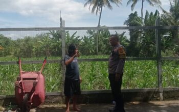 Bhabinkamtibmas Desa Kuranji Dorong Optimalisasi Lahan Produktif