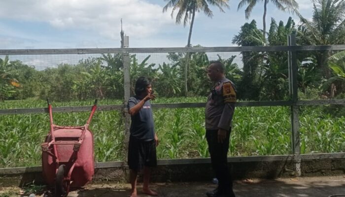 Polres Lombok Barat Intensifkan Pendampingan Ketahanan Pangan Desa