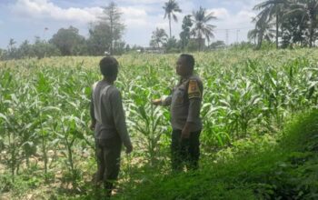 Polsek Labuapi Kawal Swasembada Pangan di Bagik Polak Barat