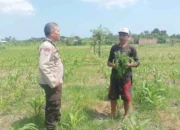 Langkah Polsek Batulayar Wujudkan Swasembada Pangan di Lombok Barat