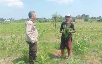 Langkah Polsek Batulayar Wujudkan Swasembada Pangan di Lombok Barat