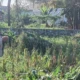 Bhabinkamtibmas Desa Karang Bongkot Turun ke Sawah, Kawal Langsung Panen dan Stok Gudang Petani