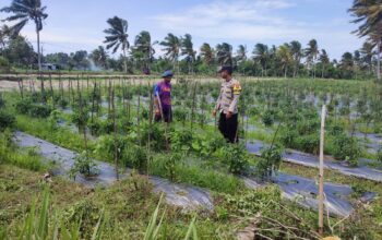 Bhabinkamtibmas Lendang Nangka Cek Lahan Cabai Milik Warga, Dukung Ketahanan Pangan