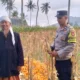 Polri Kawal Panen Jagung Desa Buwun Mas, Pastikan Petani Sejahtera dan Stok Pangan Aman