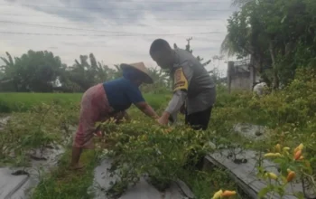 Bhabinkamtibmas Desa Kuranji Dalang Kawal Swasembada Pangan