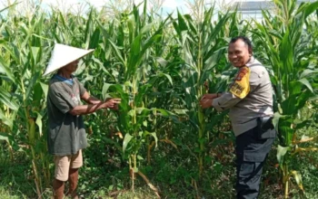 Strategi Cerdas Bhabinkamtibmas Desa Bagik Polak Barat: Ubah Lahan Tidur Jadi Sumber Pangan Produktif