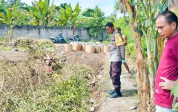 Cara Budidaya Tanaman Palawija untuk Ketahanan Pangan