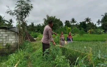 Polri Perkuat Sektor Agraris: Aksi Nyata Personel Polsek Labuapi Dampingi Petani di Tengah Sawah Dusun Jogot