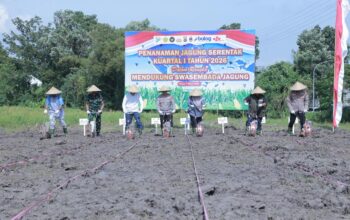 Kapolda NTB Ikut Tanam Raya Jagung di Praya, Dukung Swasembada Pangan 2026