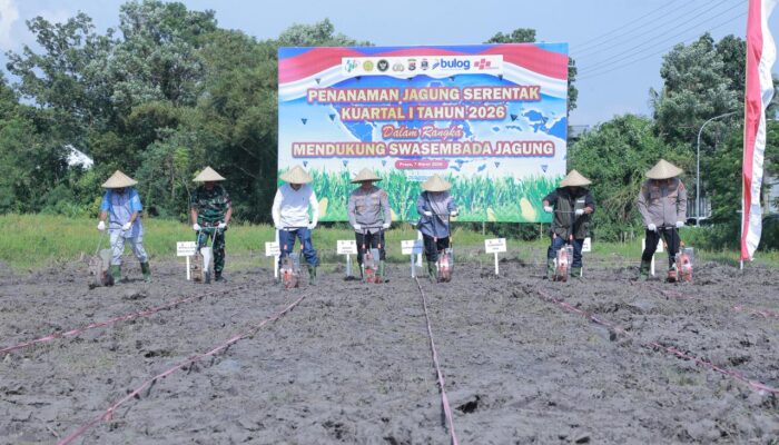Kapolda NTB Ikut Tanam Raya Jagung di Praya, Dukung Swasembada Pangan 2026