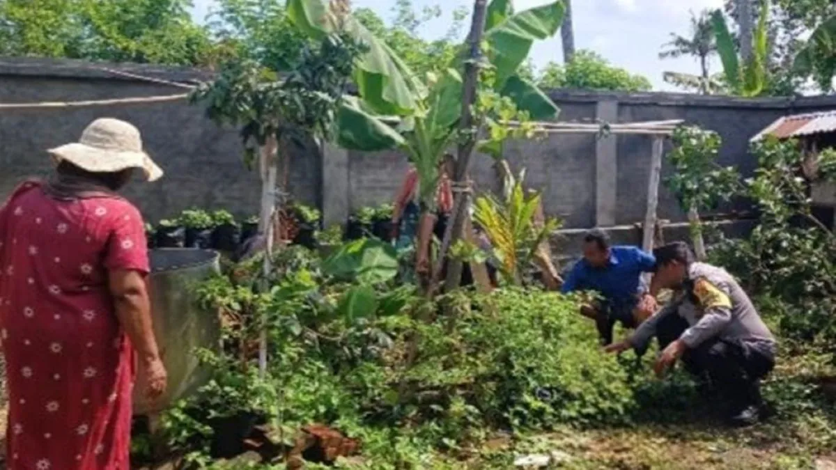 Bhabinkamtibmas Gerung Dukung Petani Gumesa Timur Lewat Bantuan Benih