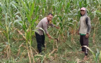 Polres Lombok Barat Motivasi Petani Jagung di Dusun Jogot