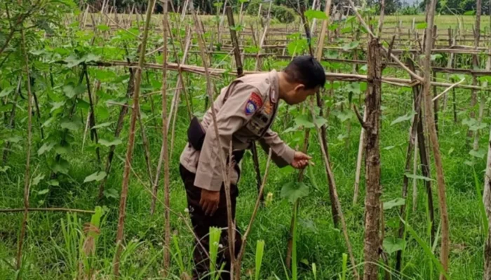 Polri Kawal Program Ketahanan Pangan di Desa Terong Tawah