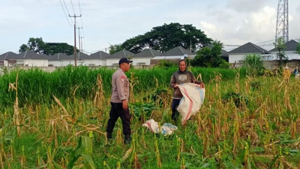 Sinergi Polri dan Petani: Strategi Polsek Labuapi Perkuat Ketahanan Pangan di Desa Karang Bongkot