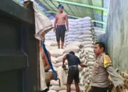 Polri Kawal Ketat Distribusi Puluhan Ton Jagung Mareje Timur ke Bulog, Pastikan Petani Sejahtera