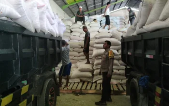 Langkah Nyata Polres Lombok Barat Kawal Distribusi Jagung Petani Mareje Timur Tembus Bulog
