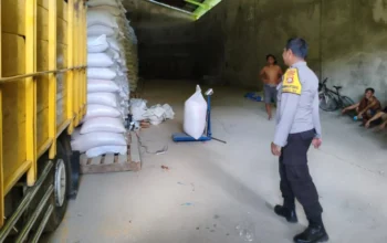 Sinergi Kuat di Lombok Barat, Bhabinkamtibmas Gerakkan Petani Salurkan 36 Ton Jagung Berkualitas