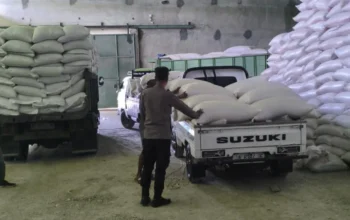 Petani Sekotong Bernapas Lega, Ribuan Kilogram Jagung Berhasil Tembus Standar Ketat Bulog dengan Pengawalan Polri