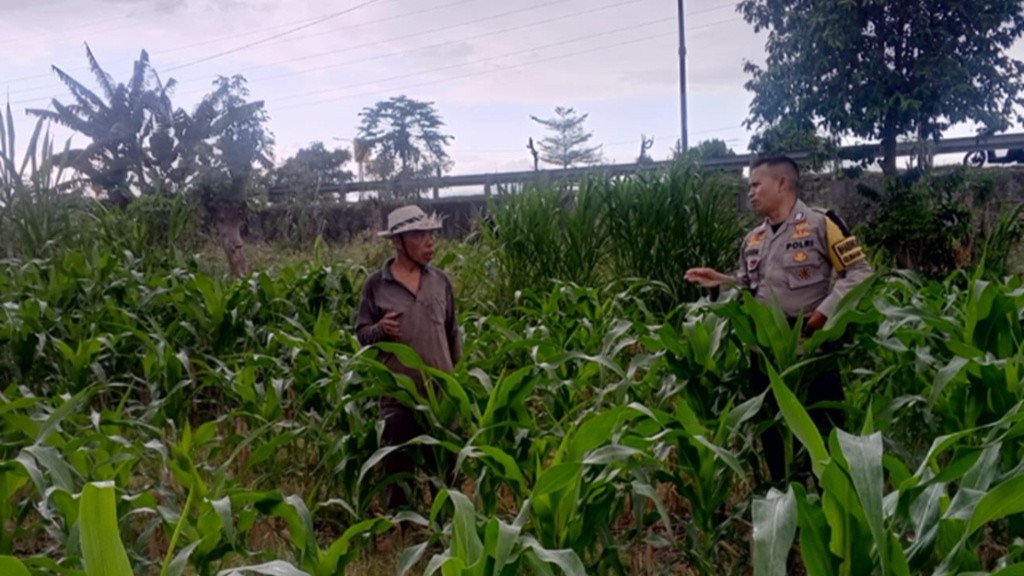 Polres Lobar Kawal Program Ketahanan Pangan Nasional di Desa