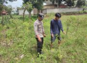 Bhabinkamtibmas Desa Paokmotong Monitoring Program Ketahanan Pangan melalui P2B