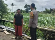 Strategi Bhabinkamtibmas Labuapi Perkuat Ketahanan Pangan Melalui Pemanfaatan Lahan Pekarangan