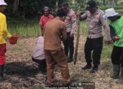 Kapolsek Terara Pimpin Penanaman Jagung Bersama Kelompok Tani di Selagik