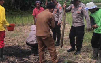 Kapolsek Terara Pimpin Penanaman Jagung Bersama Kelompok Tani di Selagik