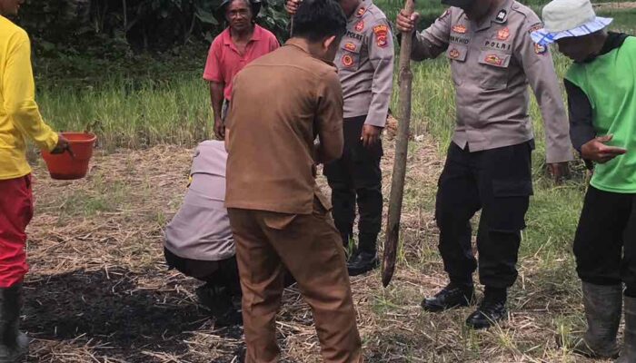 Kapolsek Terara Pimpin Penanaman Jagung Bersama Kelompok Tani di Selagik