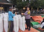 Bhabinkamtibmas Desa Kempo Pantau dan Dampingi Panen Jagung Warga
