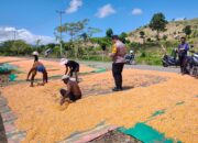 Bhabinkamtibmas Desa Bara Aktif Dampingi Petani, Dorong Pemanfaatan Lahan dan Penyaluran Hasil Panen ke Bulog